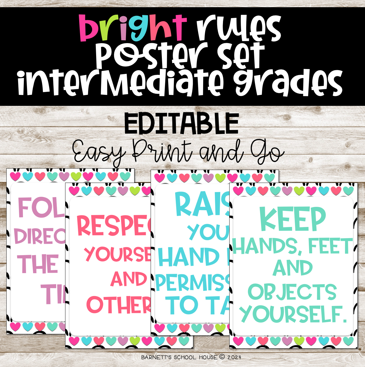 Set of educational posters with rules text sample.